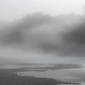 Born Bandit, Buried Knight