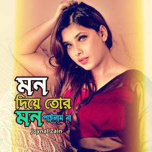 মন দিয়া তো মন পাইলামনা