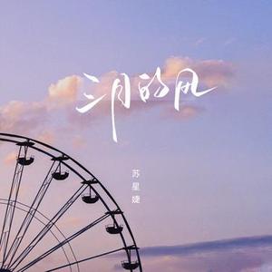 三月的风