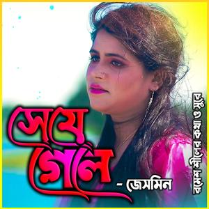 Sei Je Gele Fire Ar Elena-সেই যে গেলো (feat. Jesmin Akter & জেসমিন আক্তার)