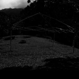 Perdona el Sentimiento