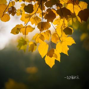 一起晒秋天