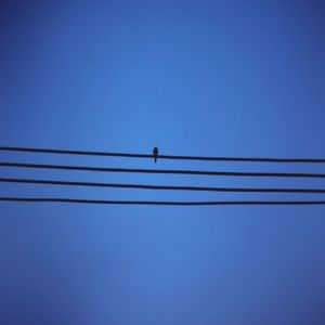 毕生难忘（Cover 麦洁文）