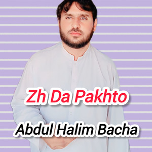 Zh Da Pakhto