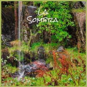 Dreamland Last Night