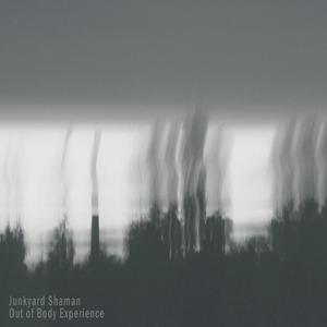 As I Was Ripped out of My Body I Felt Nothing