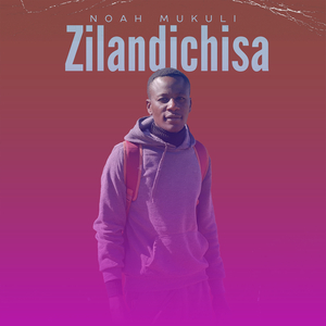 Zilandichisa