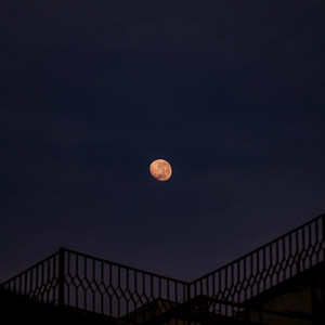 月の光に - ハーモニカセッション