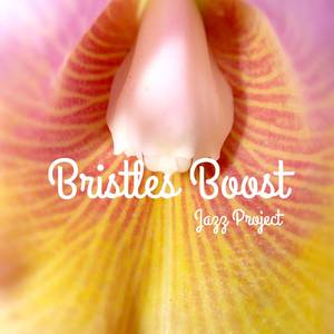 Bristles Boost