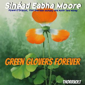 Sixteen Summers Gone! (Irish Ballad,Story of young love, with a clear beginning,meeting and falling in love and end .)