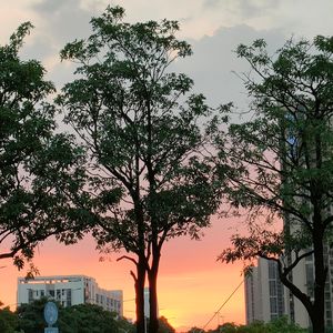 亿万光年外的遇见