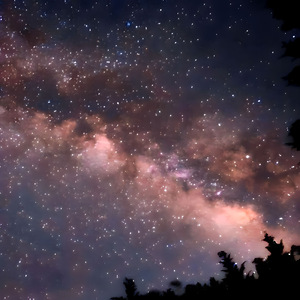 疾風に勁草を知る