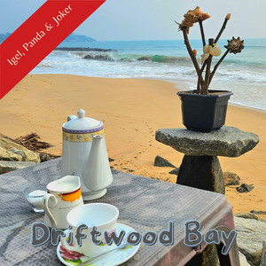 Driftwood Bay