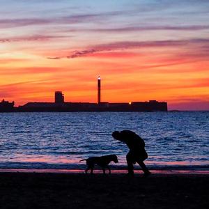 愿望（翻自 Gin）