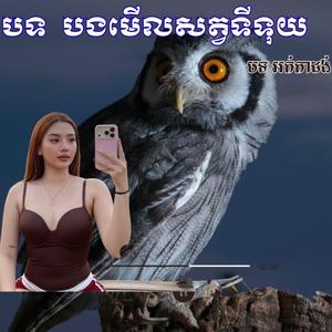 បងមើលសត្វទីទុយ__តាក់ទីងណឹង__ច្រៀងឡើងវិញដោយ ហៀត ចិន្តា