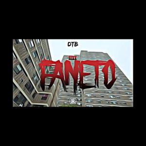 FANETO