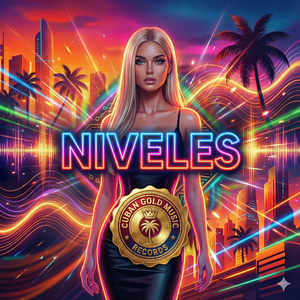 NIVELES