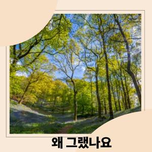 왜 그랬나요 (Radio Edit)