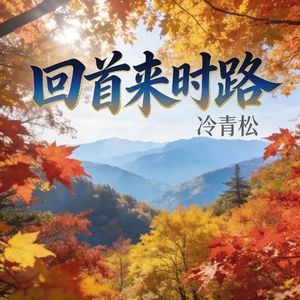 回首来时路
