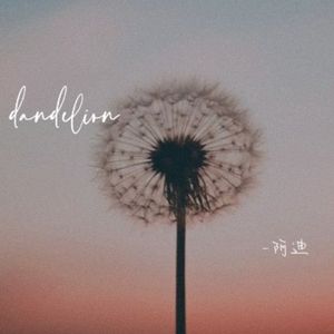 dandelion（蒲公英)