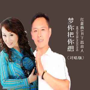 梦你把你想 (对唱版)