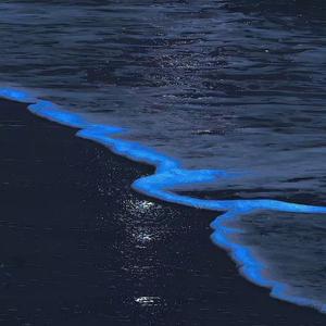 像你这样的朋友