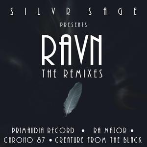 Ravn (Future Horizons Remix)
