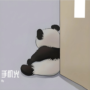 手机光