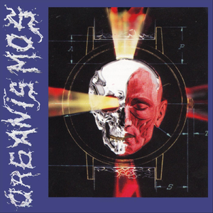 Construcciones Lineales