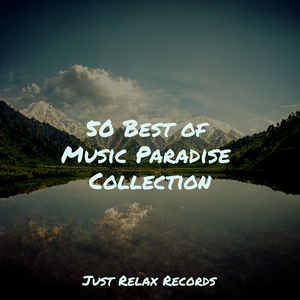 Echoes in Perpetuity