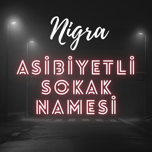 Asibiyetli Sokak Namesi