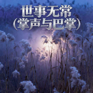 世事无常（掌声与巴掌）