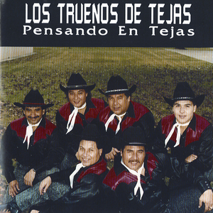 Ni Los Pleitos