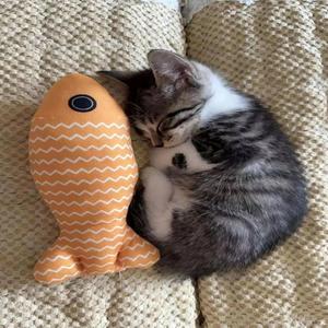 Besides 2 (feat. SavorChrist & Kxndy)