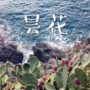 昙花