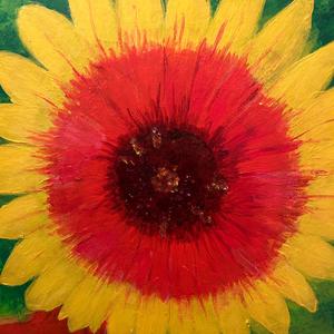 Looking at the light