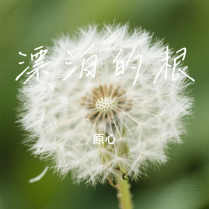 漂泊的根