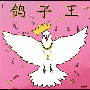 鸽子王