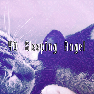 Almost Silent but Violent