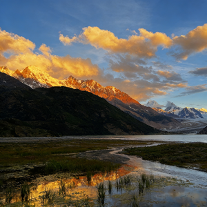 Emergency (美式警察)