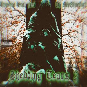 Shedding Tears (feat. Crystal Ball Ant) (Part 2 Side B)