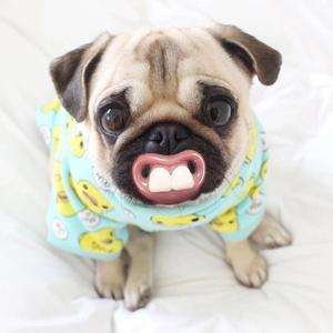 第三人称（翻自 Hush！）