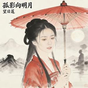 孤影向明月