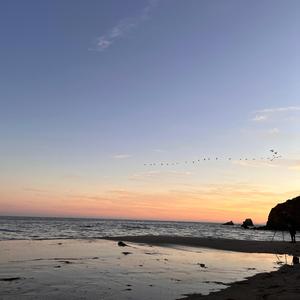 dat summer night radio jam (love)