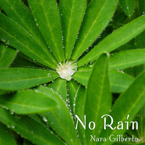 No Rain