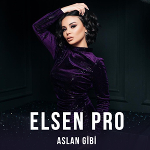 Alan Gibi