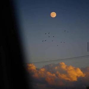 [FREE] Juice WRLD Type Beat - "Remember Me" |