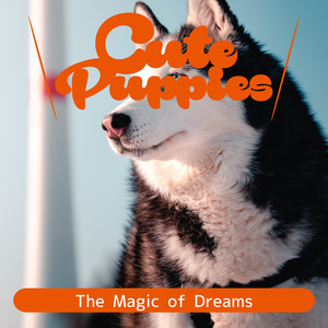 Tales of the Forest (Key F Ver.)