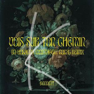 Vois sur ton chemin (0.8X版)