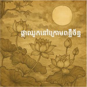 ផ្កាឈូកនៅក្រោមពន្លឺច័ន្ទ